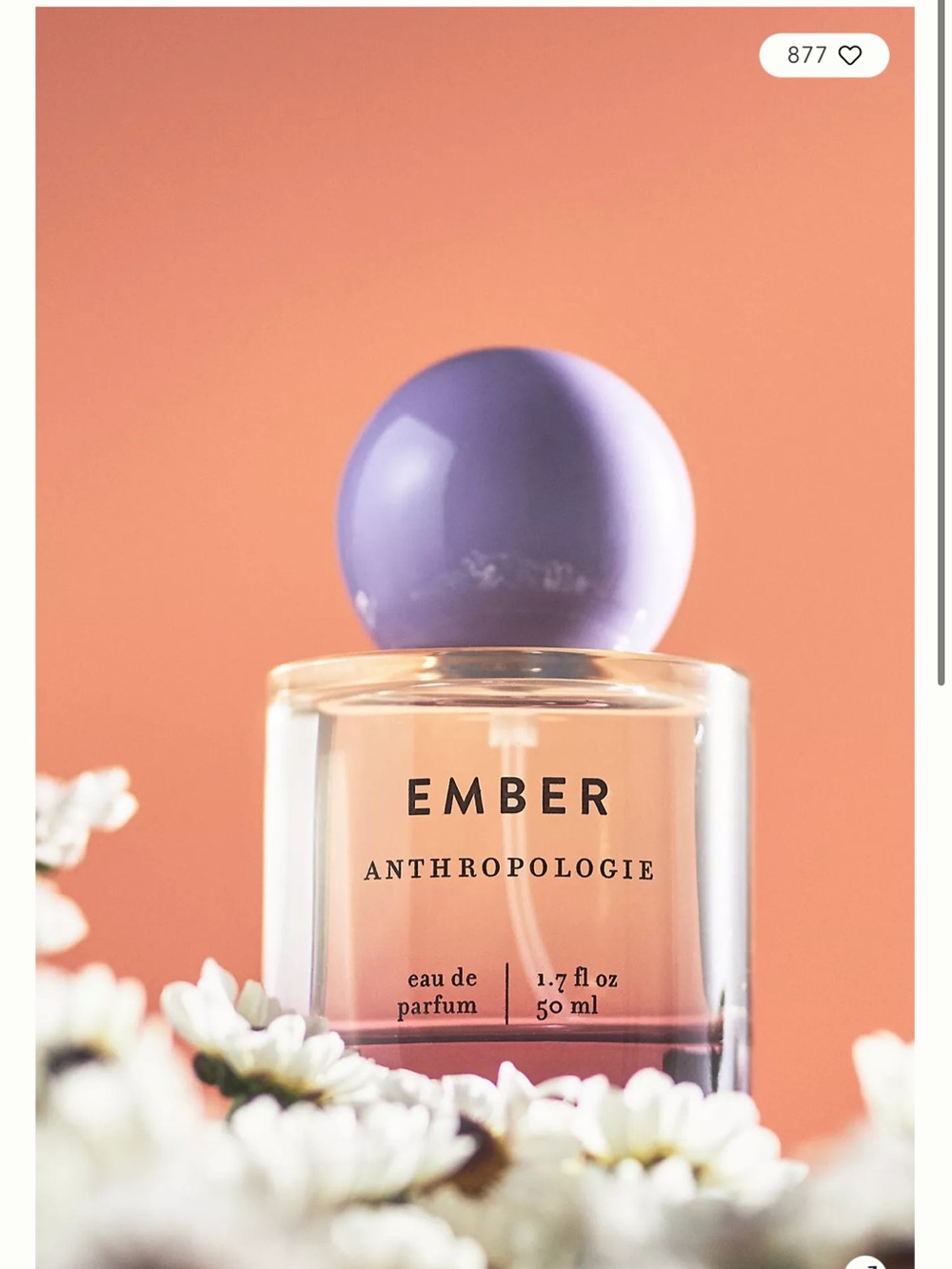anthropologie